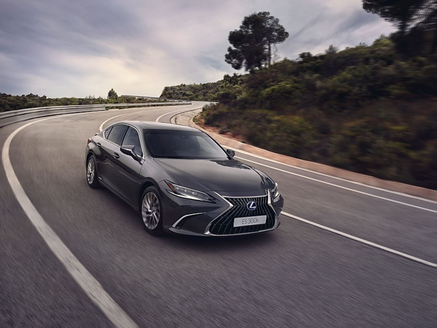 Lexus ES 300h