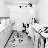 Eine Studierende fotografiert ein Skelett