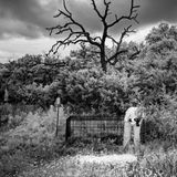 Eine Studierende fotografiert eine Leiche