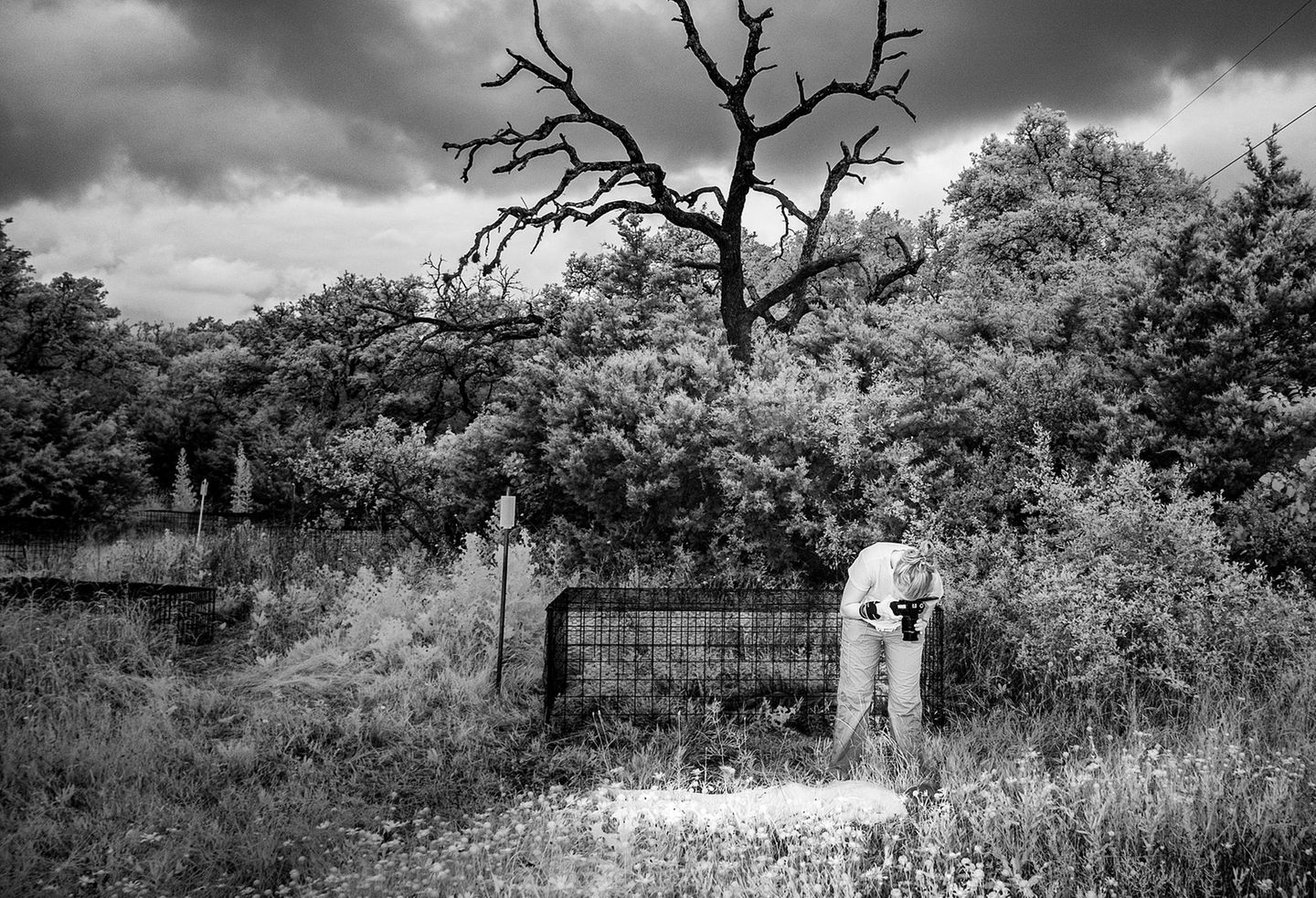 Eine Studierende fotografiert eine Leiche