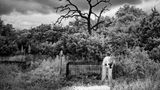 Eine Studierende fotografiert eine Leiche