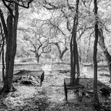 Leichen unter Drahtkäfigen