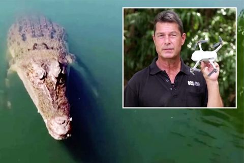 Trügerische Ruhe: Attacke im Video: Krokodil schnappt sich Drohne aus der Luft