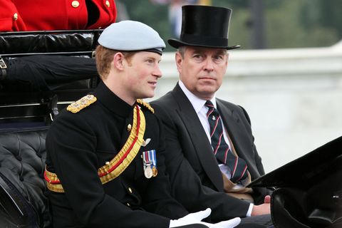 Prinz Harry und Prinz Andrew