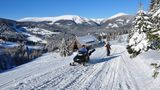 Tschechien  Der Verband der Skilift- und Seilbahnbetreiber sieht 3G-Regeln sowie verstärkte Hygienemaßnahmen vor. Handels- und Verkehrsminister Karel Havlicek rechnet mit einem sorgenfreien Start in die Saison. "Davon hängt nicht nur die Freude am Sport ab, sondern auch eine ganze Reihe von Arbeitsplätzen und die Zukunft der Branche."      In den tschechischen Mittelgebirgen mit dem Wintersportort Spindleruv Mlyn (Spindlermühle) im Riesengebirge und dem Skigebiet Klinovec (Keilberg) im Erzgebirge beginnt die Saison in der Regel Mitte Dezember und endet im März. Vollständig Geimpfte aus Deutschland müssen bei der Einreise ein Meldeformular ausfüllen. Für Ungeimpfte gelten Test- und Quarantänepflicht.