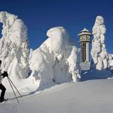 Feldbergturm, im winterlichen Naturschutzgebiet Feldberg