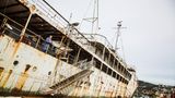 Die "Galeb" ist nicht irgendein Schiff. Sie ist die Amtsjacht des ehemaligen jugoslawischen Staatschefs Josip Broz Tito. 86.000 Seemeilen legte der Diktator mit ihr zurück. Ob Elizabeth Taylor, Sophia Loren, Kirk Douglas oder Richard Burton – niemand schlug eine Einladung zu einer Spritztour mit der schwimmenden jugoslawischen "Air Force One" aus. 