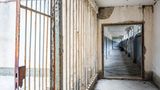 Früher streng bewacht, heute sperrangelweit offen: Ein Zellentrakt des Alcatraz der Adria. Auf der unbewohnten Insel Goli Otok ließ das Tito-Regime ein "Umerziehungslager" für politische Gegner errichten. Im Lager herrschten Zustände wie einem Konzentrationslager. Misshandlungen durch das Personal und schwere körperliche Arbeit in den Steinbrüchen gehörten zur Tagesordnung. 