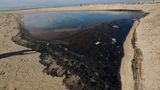 Huntington Beach, USA: Öl wird angespült