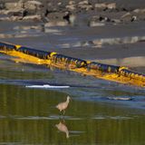Schwimmende Barrieren kommen bei der Eindämmung des Ölteppichs zum Einsatz