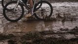 Paris-Roubaix - Pavé