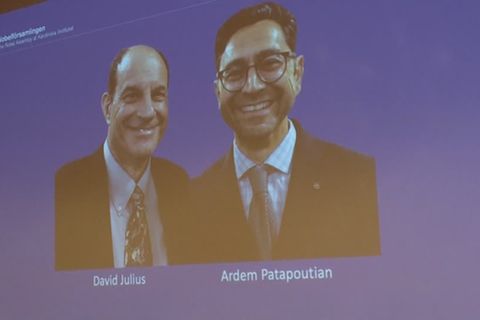 Video: Medizin-Nobelpreis geht an US-Wissenschaftler Julius und Patapoutian