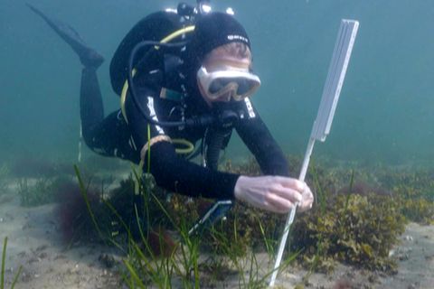 Welche Rolle spielen die Ozeane und Meere in der Klimakrise?