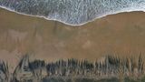 Luftaufnahme zeigt schwarze Ölschlieren am Strand