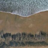 Luftaufnahme zeigt schwarze Ölschlieren am Strand