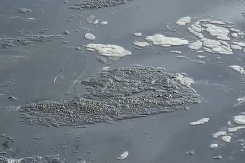 Video: Ölteppich - Kaliforniens Gouverneur für Ende von Offshore-Bohrungen