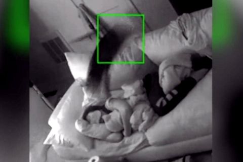 Eine Frau mit Schlafmaske auf dem Sofa. Die Momentaufnahme zeigt, wie eine Katze in Richtung ihres Gesichtes springt.