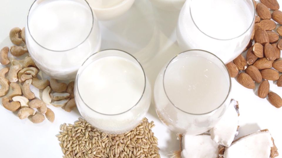 Mythen zu Nachhaltigkeit im Check: Ist Pflanzenmilch besser als Kuhmilch?