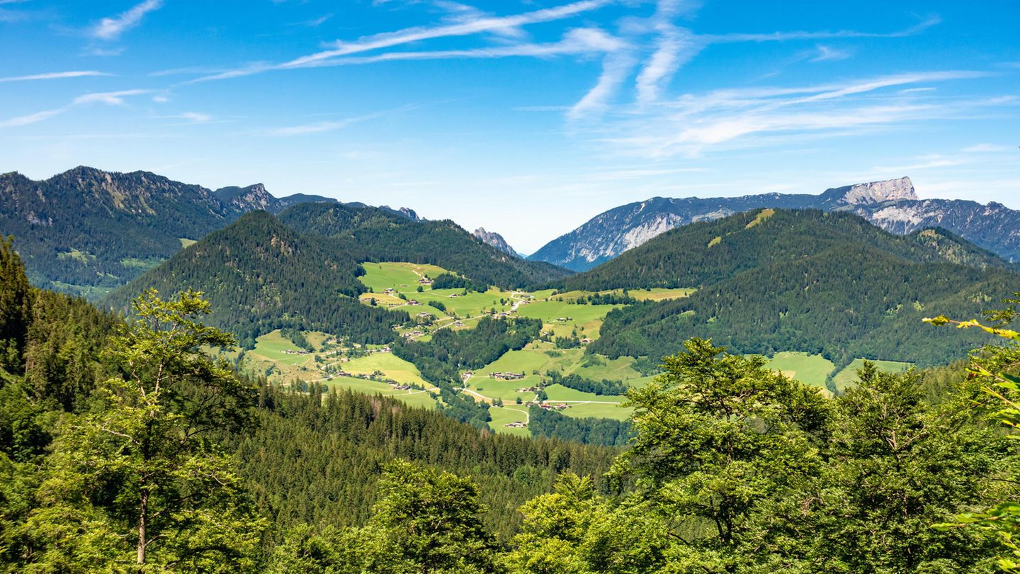 Ehrenamt Bayrischer Wald als Park Ranger