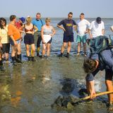 Ehrenamt in Greetensiel