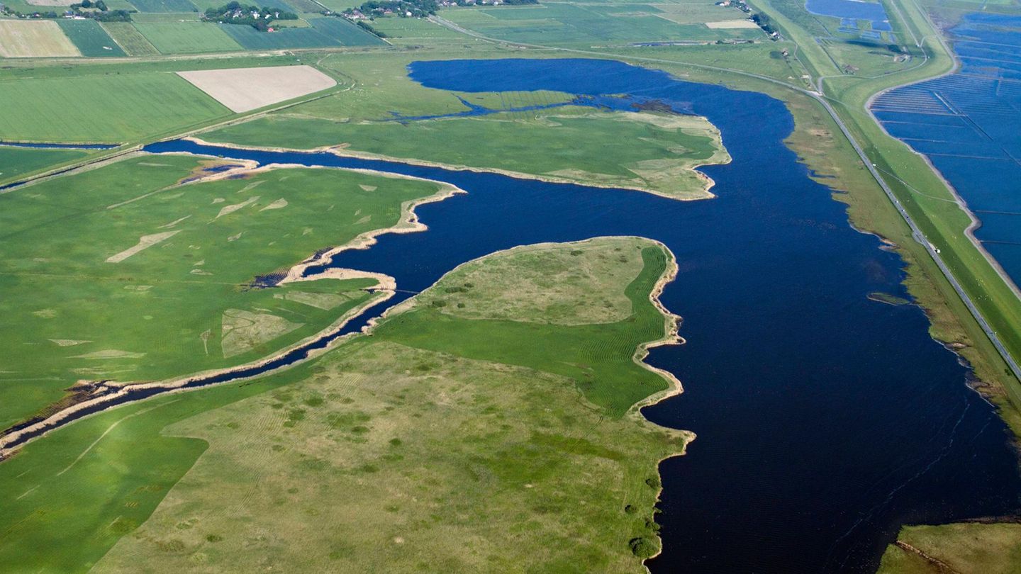 Ehrenamt im Naturschutzgebiet Jordansand Ehrenamt im Naturschutzgebiet Jordansand
