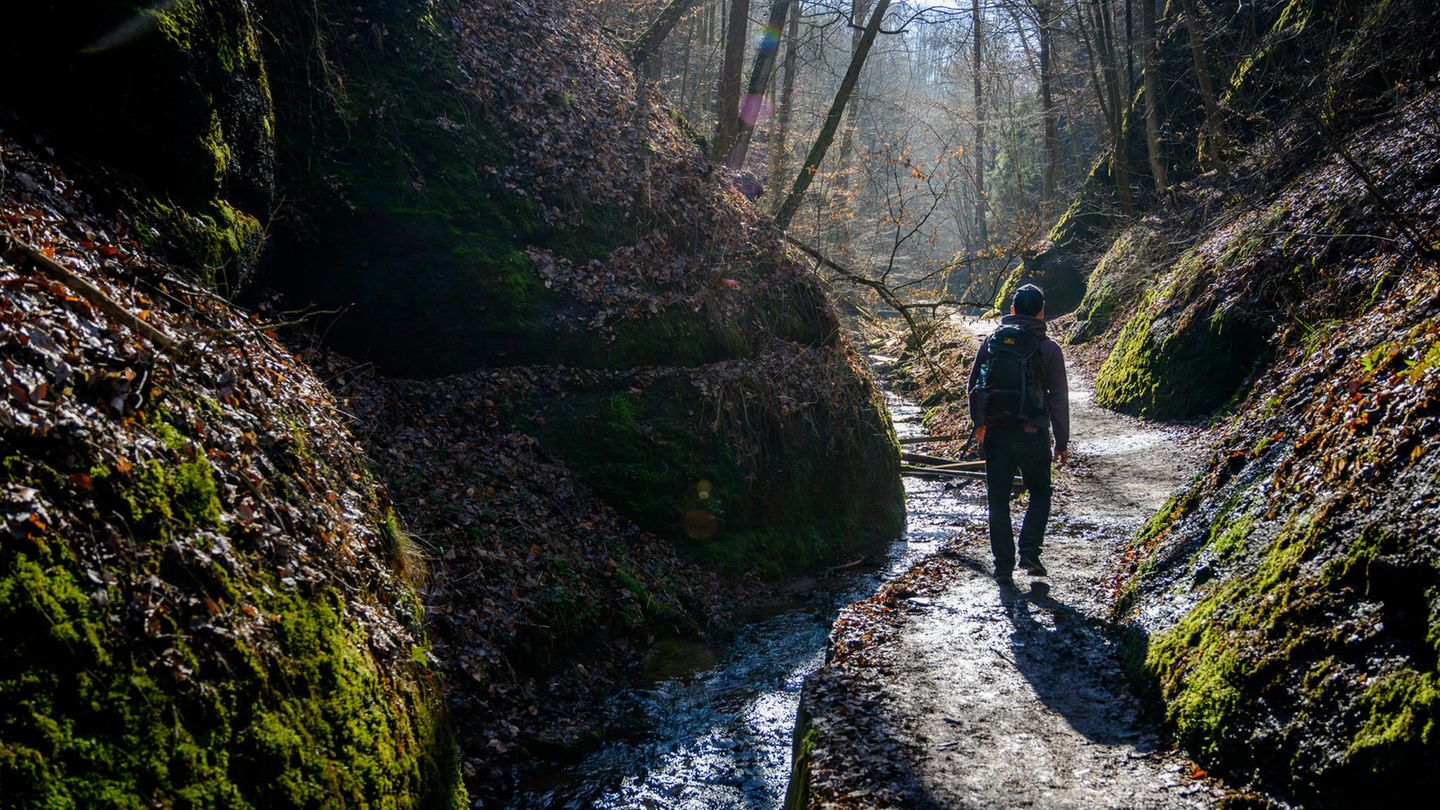 Thüringen: Werden Sie Test-Wanderer! Ehrenamtlich. Thüringen: Werden Sie Test-Wanderer! Ehrenamtlich.