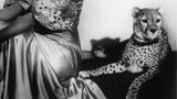 Joesphine Baker mit Gepard
