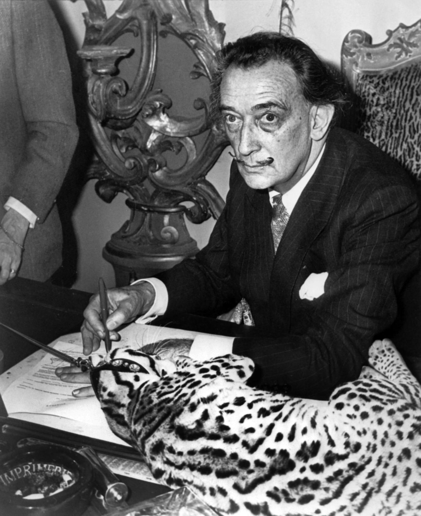 Dali mit Ozelot