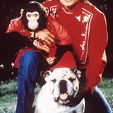 Michael Jackson mit Schimpanse
