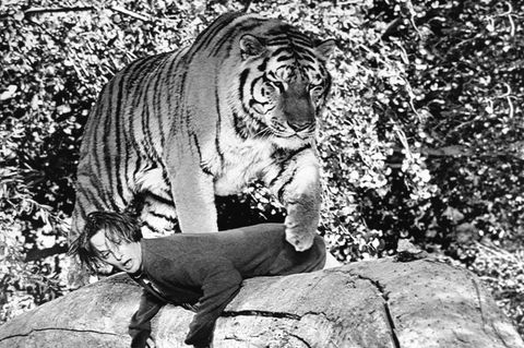 Tippi Hedren mit Tiger