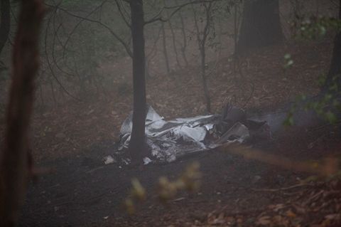 Wrackteile liegen in einem Wald bei Itterbach im Siebengebirge
