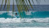 Traumziel Karibik: Surfers Paradise auf Barbados