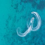 Traumziel Karibik: Zwei Jetski-Piloten jagen vor Curaçao durchs azurblaue Meer