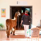 Auf dem Weg zum Aufzug geht es durchs Seniorenheim.