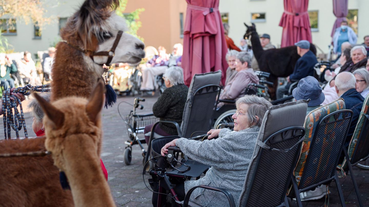 Im Garten hatten sich die Senioren versammelt. Auch die Lamas und Alpakas waren natürlich mit dabei.