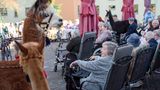 Im Garten hatten sich die Senioren versammelt. Auch die Lamas und Alpakas waren natürlich mit dabei.