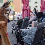 Im Garten hatten sich die Senioren versammelt. Auch die Lamas und Alpakas waren natürlich mit dabei.