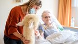 Tiere sieht man im Seniorenheim-Alltag selten. Ein echtes Lama im Zimmer erlebt wohl kaum ein:e Bewohner:in.
