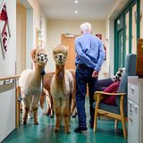 Ein kurioser Anblick auf den Fluren des Seniorenheims. 