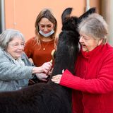 Kuschlig geht es auch bei diesen Bewohner:innen zu.