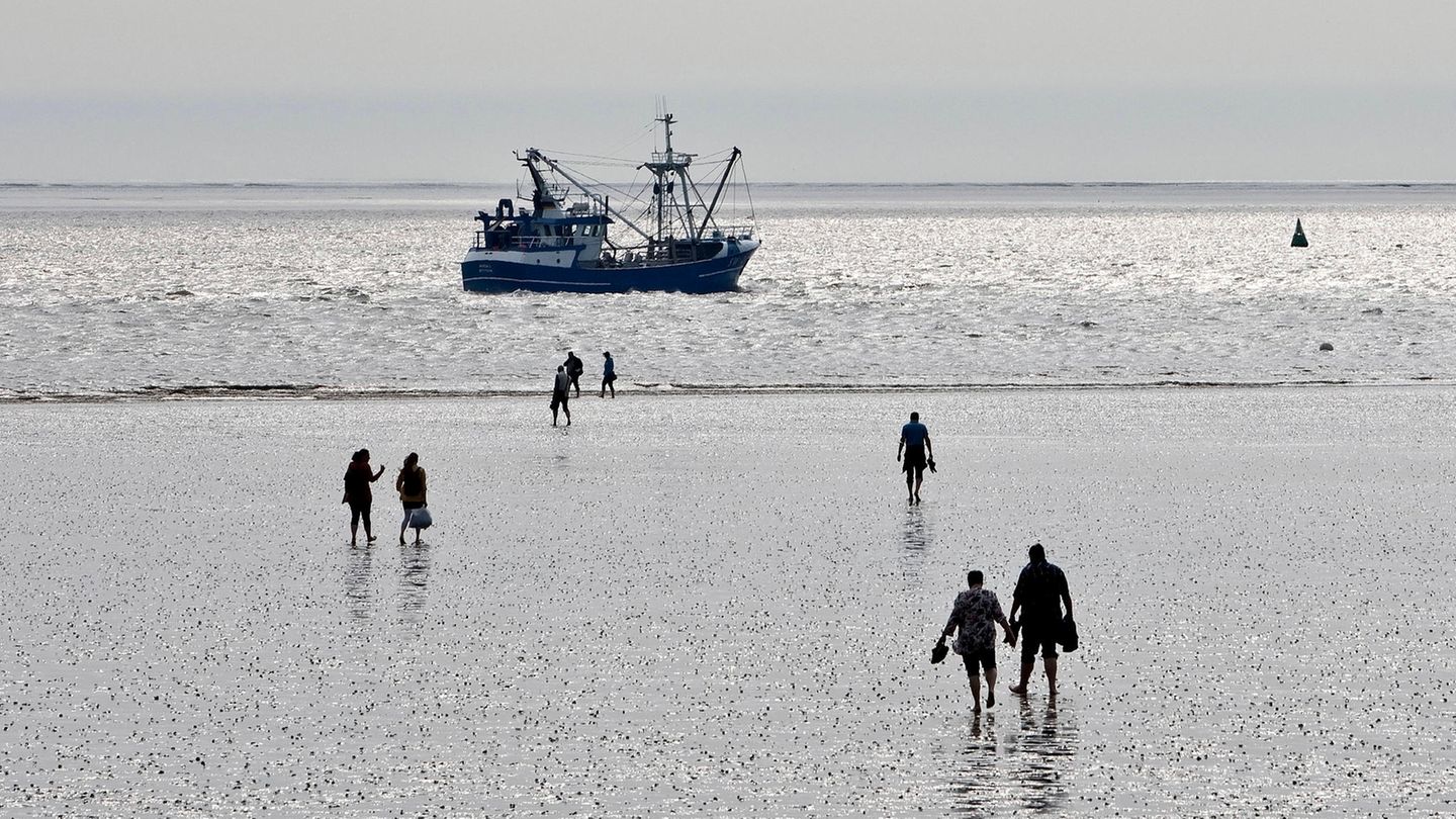 Platz 4: Wattenmeer  Auf Rang vier der ultimativen Deutschland-Ziele folgt das Wattenmeer: "Ein Trio von Nationalparks schützt diese Wasserlandschaft, die zusammen mit dem holländischen Teil fast 12.000 Quadratkilometer umfasst und in dieser Größe weltweit einmalig ist."