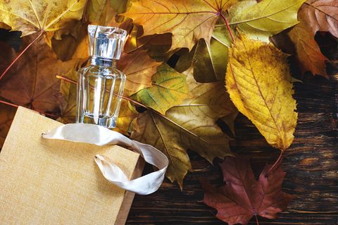 Parfum-Flakon liegt zwischen Herbstlaub