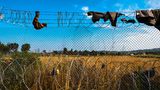 Bei Gevgelija, Nordmazedonien, 2016: Kleidungsstücke im Stacheldraht an der Grenze, die Nordmazedonien und Griechenland trennt. Flüchtlinge binden sie sich um Hände und Füße, um sich beim Überwinden des Zauns nicht zu verletzten.