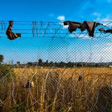 Bei Gevgelija, Nordmazedonien, 2016: Kleidungsstücke im Stacheldraht an der Grenze, die Nordmazedonien und Griechenland trennt. Flüchtlinge binden sie sich um Hände und Füße, um sich beim Überwinden des Zauns nicht zu verletzten.