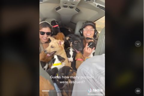 TikTok