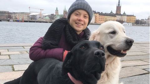 Greta Thunberg kniet neben ihren Hunden Moses und Roxy