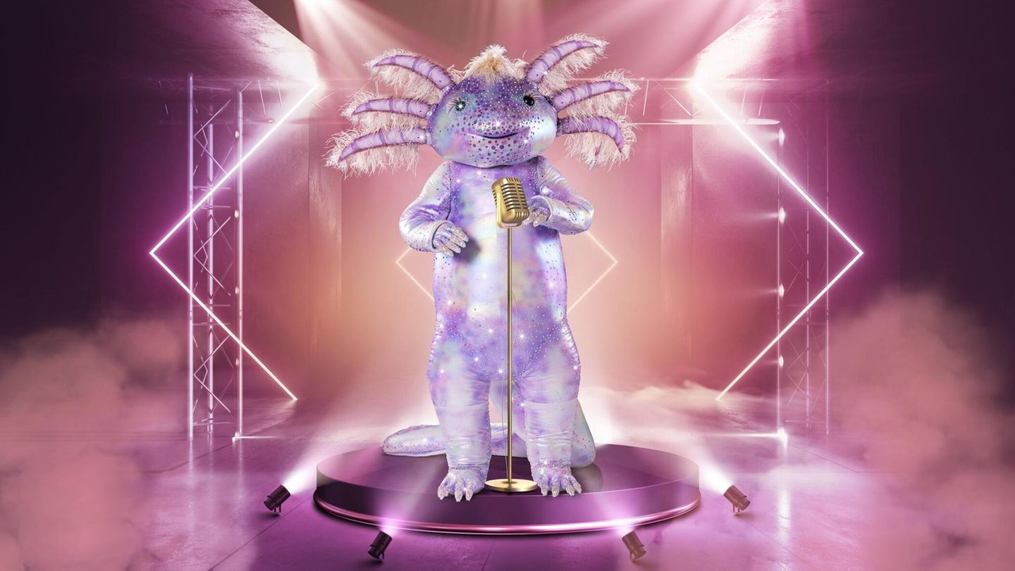 Das Axolotl ist vor einigen Jahren durch Helene Hegemanns Roman "Axolotl Roadkill" und die folgende Verfilmung zu kulturellen Ehren gekommen. Wird dieses Tier auch bei "The Masked Singer" die Herzen der Kritiker erobern?