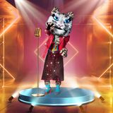 Der Tiger gehört zu den schönsten Exemplaren im Tierreich. Bei "The Masked Singer" läuft die Raubkatze allerdings außer Konkurrenz: Erstmals gibt es elf Charaktere. Der Tiger wird nur in der Online ausgestrahlten Show "The Masked Singer Ehrmann Tiger" auftreten. Wer sich unter der Maske verbirgt - das dürfen hier ausschließlich die Zuschauer erraten.