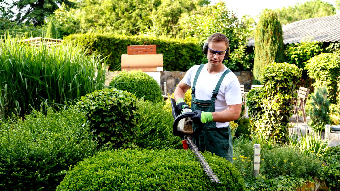 Die Kosten für die Pflege der Grünanlage und das Personal sind umlagefähig. Macht der Hausmeister den Job mit, dann müssen die Ausgaben entsprechend gekürzt werden. 