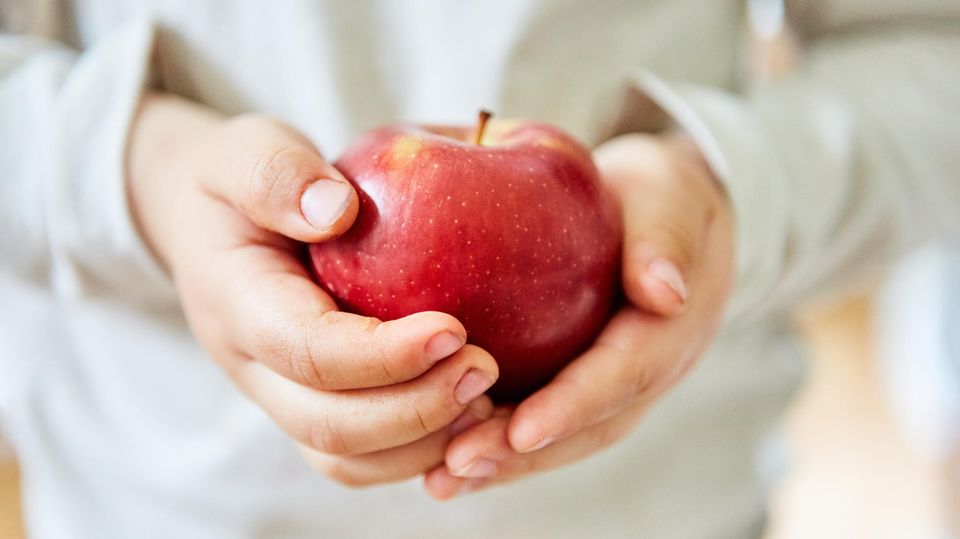 Hände von einem Kind, die Apfel halten